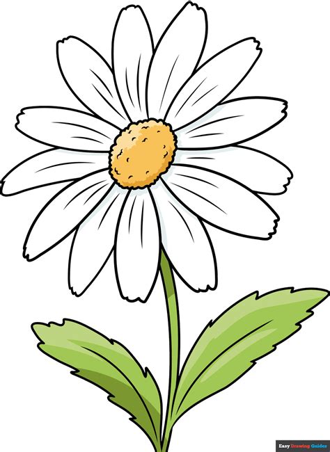 Daisy With Stem Outline