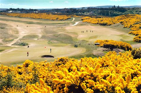 ROYAL DORNOCH ‘ONE OF THE BEST’ SAY GOLFING CAPTAINS - Highland Golf ...