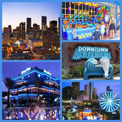 DOWNTOWN AQUARIUM – HOUSTON,TX – Ameriquest