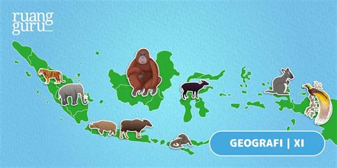 Faktor dan Zona Persebaran Flora & Fauna di Indonesia | Geografi Kelas 11