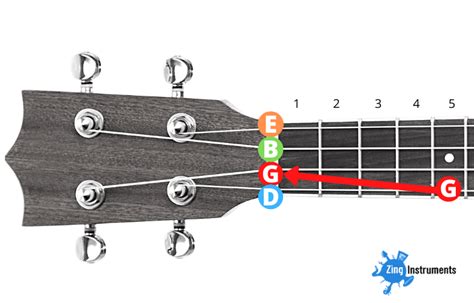 Baritone Ukulele Tuning - The Basics Explained