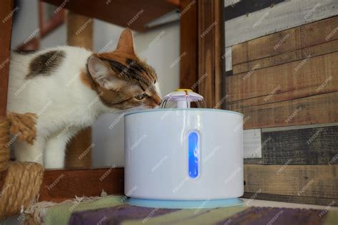 Premium Photo | Pet water dispenser with automatic gravity refill