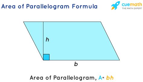 Area Of Parallelogram Worksheets