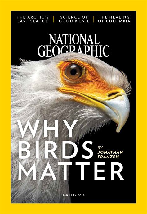 National Geographic Magazine | 表現 技法, 動物, 自然