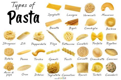 what to call different shapes and styles of pasta | Pasta types, Pasta ...