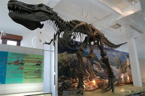 Museum Geologi Bandung - museum.co.id