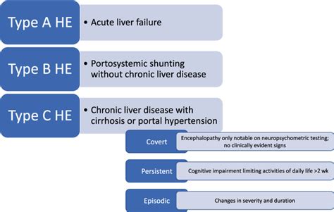 Classification of Hepatic Encephalopathy (HE) phenotypes. | Download ...