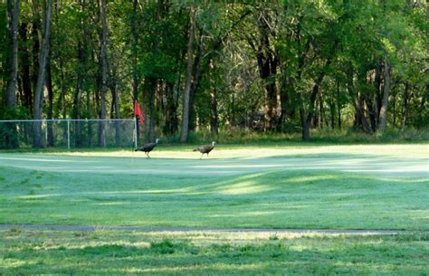 Borger Country Club in Borger, Texas, USA | GolfPass