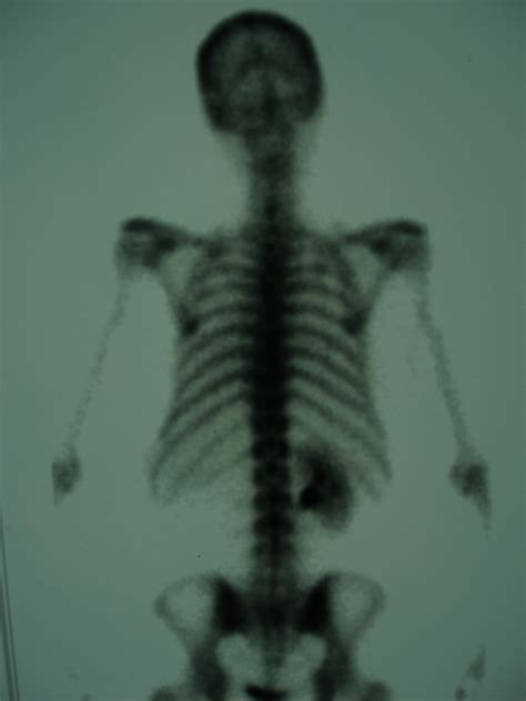 Radiology Schools