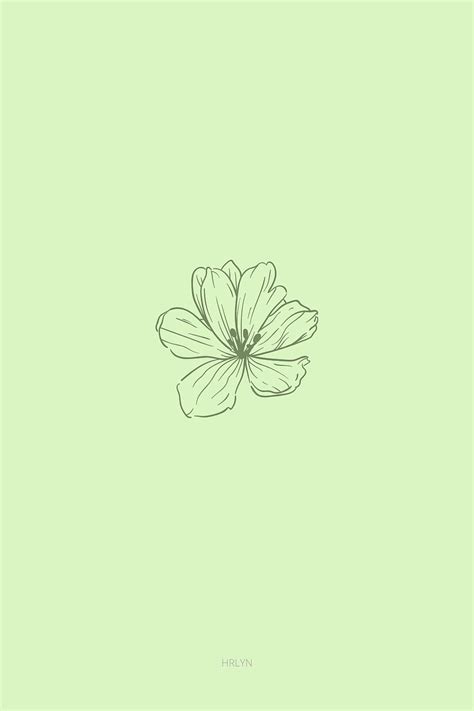 3840x2160px, 4K Free download | flower green minimalist. Mint green ...