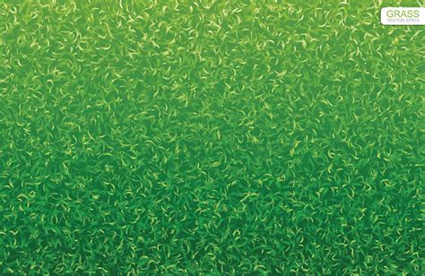 Green lawn grass texture 1343818 Vector Art at Vecteezy