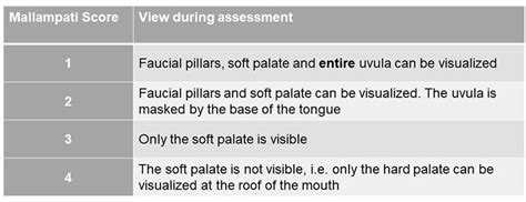 Pre-operative airway assessment | Anesthesia Airway Management (AAM)