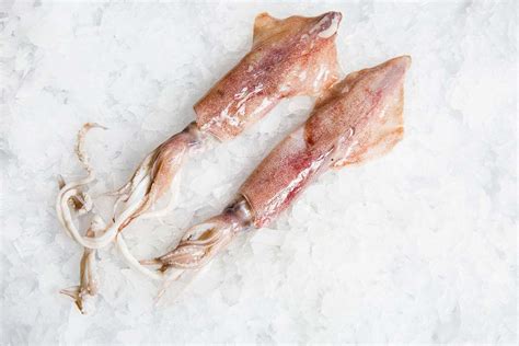 Fresh Loligo Squid Delivered | Manettas Seafood Market