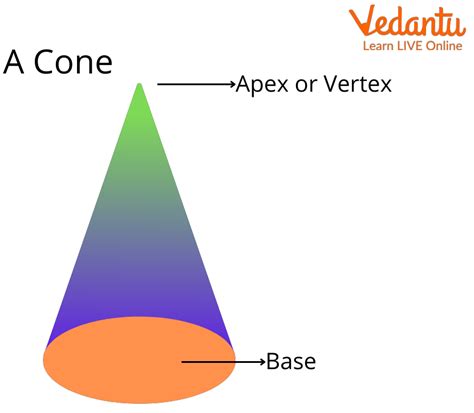 Cone Shape: Definition, Facts & Examples