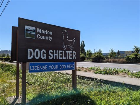 Marion County dog shelter consistently at critical capacity with lost ...