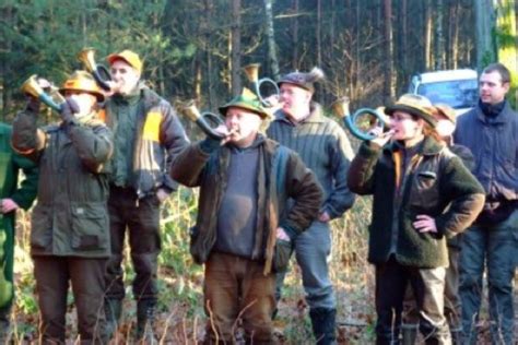 Unterschriften für eine ethisch korrekte Jagd - Wald und Wild | Jagd1