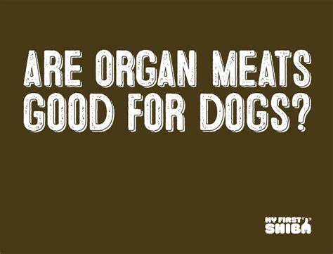 Are Organ Meats Good For Dogs? - My First Shiba Inu