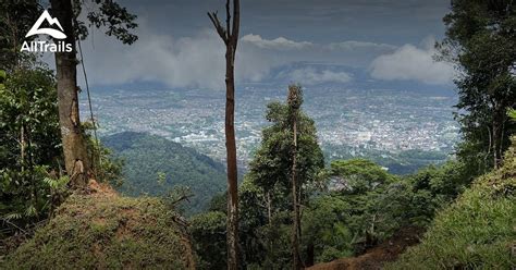 Best hikes and trails in Hutan Lipur Bukit Larut | AllTrails