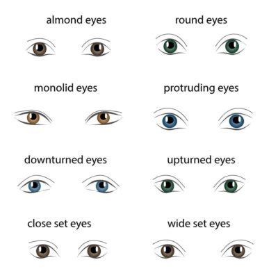 8 Different Types of Eye Shapes - Dontly.ME – Images Collections