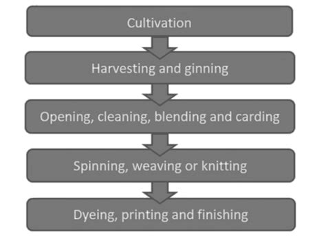 Key stages of cotton production. | Download Scientific Diagram