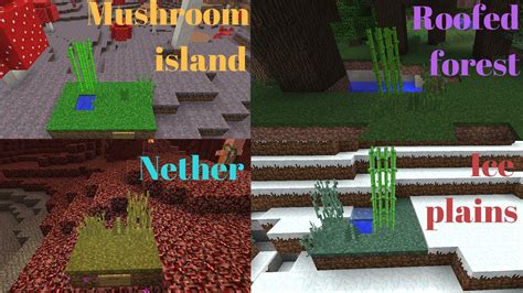 Minecraft Map Biome Colors