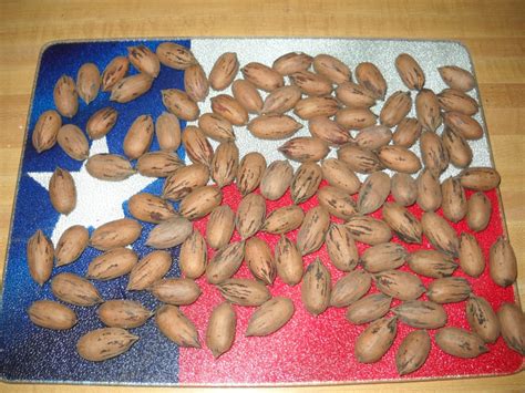 Real Texas Pecans