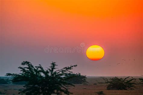 138 Rann Kutch Sunrise Stock Photos - Free & Royalty-Free Stock Photos ...