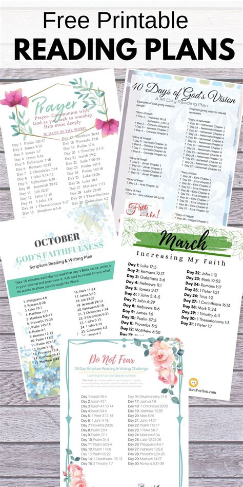 The Bible Recap Printable Reading Plan