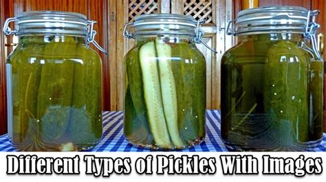 types of pickles Archives - Asian Recipe