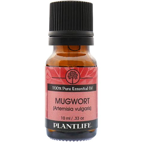 Mugwort Essential Oil | Plantlife |100% Pure Essential Oils