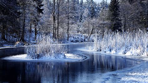 Wallpaper 4k Nature Winter » Download Best HD Images Wallpaper