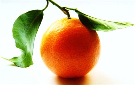 Free download 124 orange Fruit HD Wallpapers Background Images ...