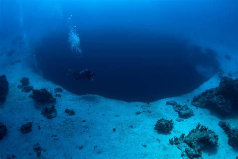 Blue Hole Diving at one of the Best Dive Sites in the Bahamas - All ...