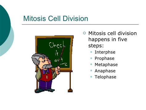 Mitosis Cell Division Ppt