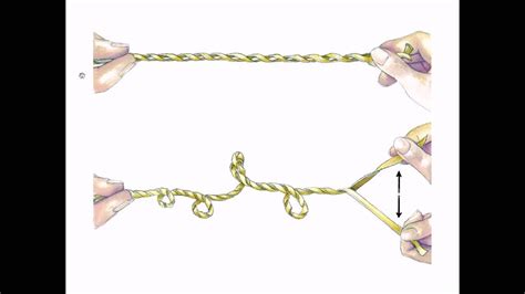 DNA supercoiling and topoisomerase - YouTube