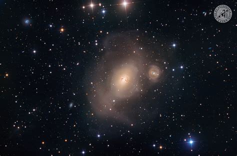 NGC 1316 – APOD by Astronomia.com