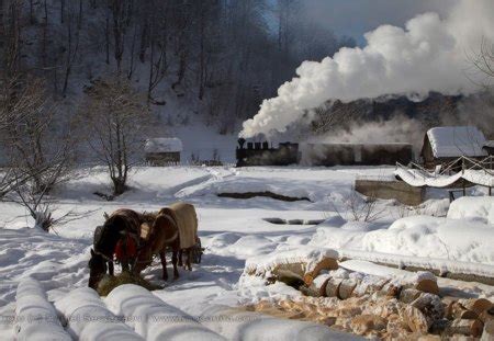 Winter in Maramures - Winter & Nature Background Wallpapers on Desktop ...