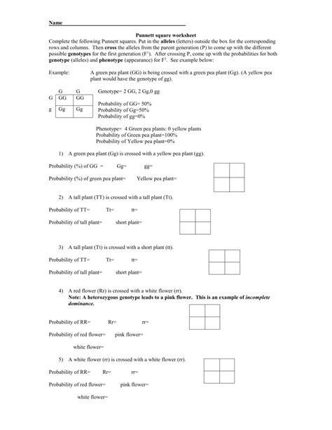 Punnett square worksheet