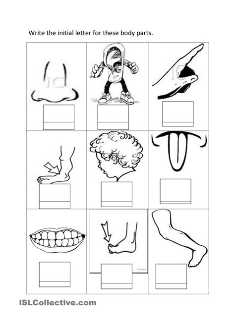 Body Parts Coloring Pages - Coloring Home