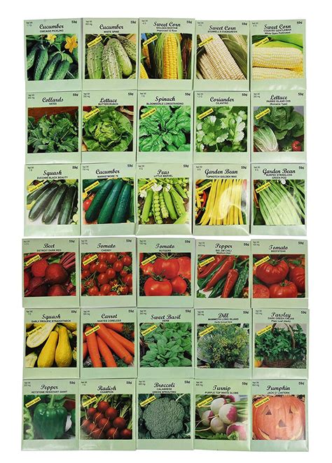 Set of 30 Pack Vegetable Seeds! 30 Varieties! Create a Deluxe Garden ...