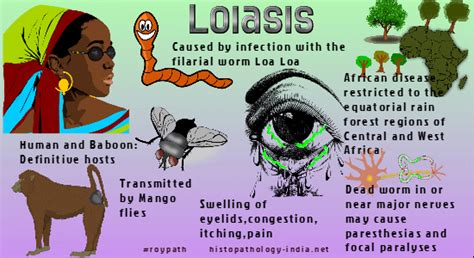 Pathology of Loiasis - Dr Sampurna Roy MD