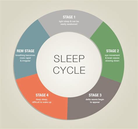 Learn How to Sleep Better by Understanding Sleep Cycles & Stages ...