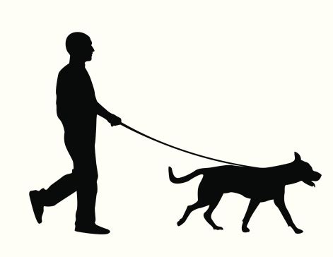 Silhouette Of A Man Walking A Dog Over A White Background Stock ...