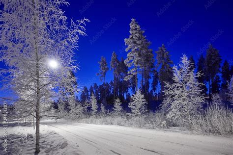 Winter Night Scene