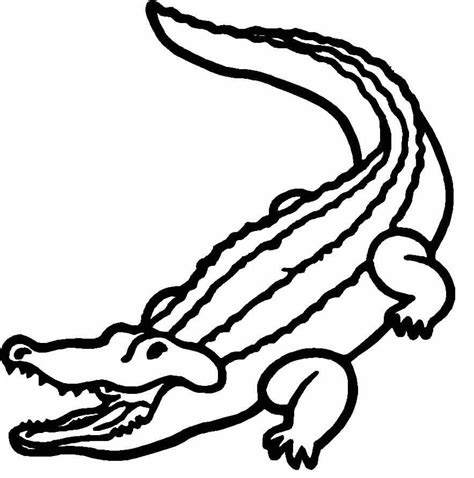 Alligator Drawing Simple Percontoh O 5400 | The Best Porn Website