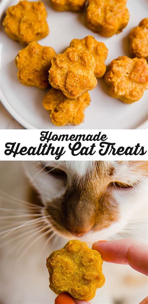 Healthy Homemade Pumpkin Cat Treats | Recipe | Homemade cat treats ...