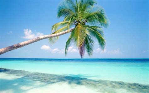 Relaxing Beach Wallpapers - Top Free Relaxing Beach Backgrounds ...