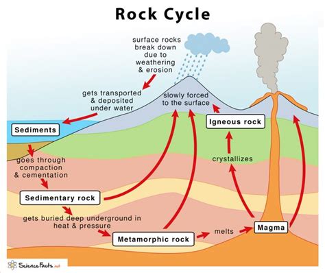 types of rocks worksheets