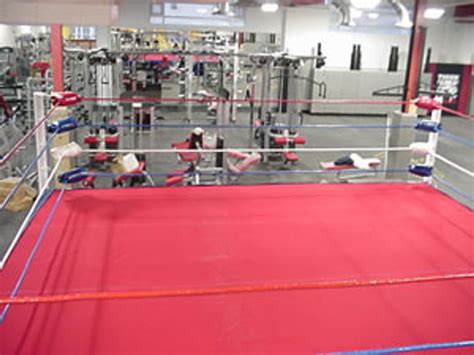 Pro Wrestling Ring 16' X 16' MADE IN USA - Pro Fight Shop