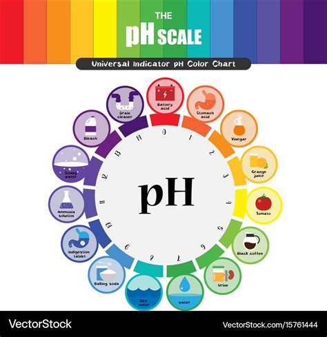 Ph scale universal indicator color chart Vector Image